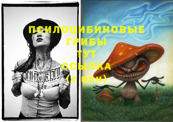 хмурый Горняк