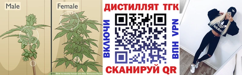 кракен tor  Дорогобуж  Дистиллят ТГК концентрат 