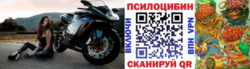 Псилоцибиновые грибы Psilocybe Дорогобуж